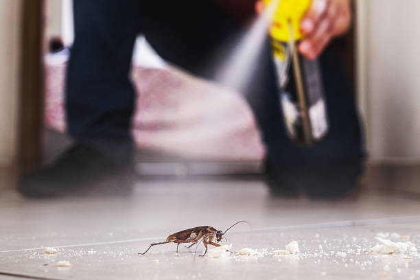 Best Pest Control Near Me  in The Hills, NJ